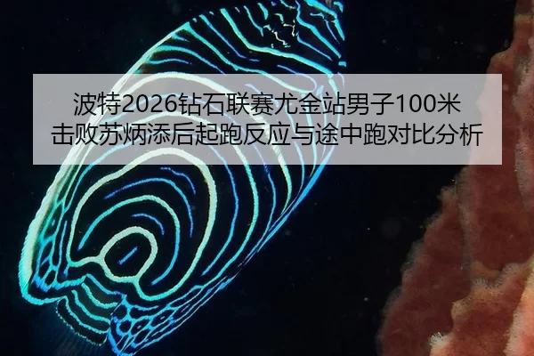 波特2026钻石联赛尤金站男子100米击败苏炳添后起跑反应与途中跑对比分析